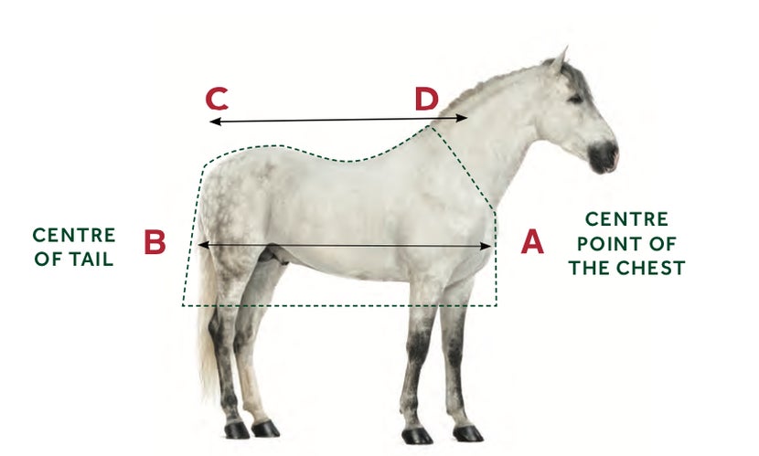To measure for a horseware fly sheet, measure from the point of the chest to the center of the tail (subtract four inches) and the length of the back. Use these measurements and look on the table below to find your horse's fly sheet size.